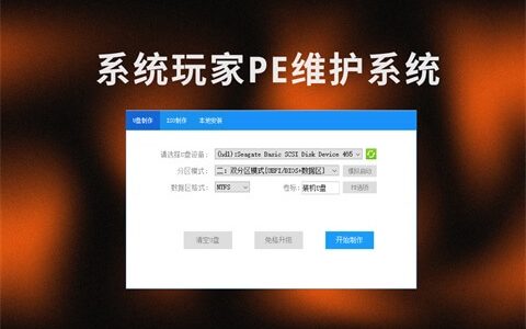 【纯净版PE】系统玩家PE维护系统Plus版_网络版-2025年12月版