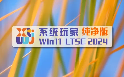 系统玩家 Win11 LTSC2024纯净版封面图
