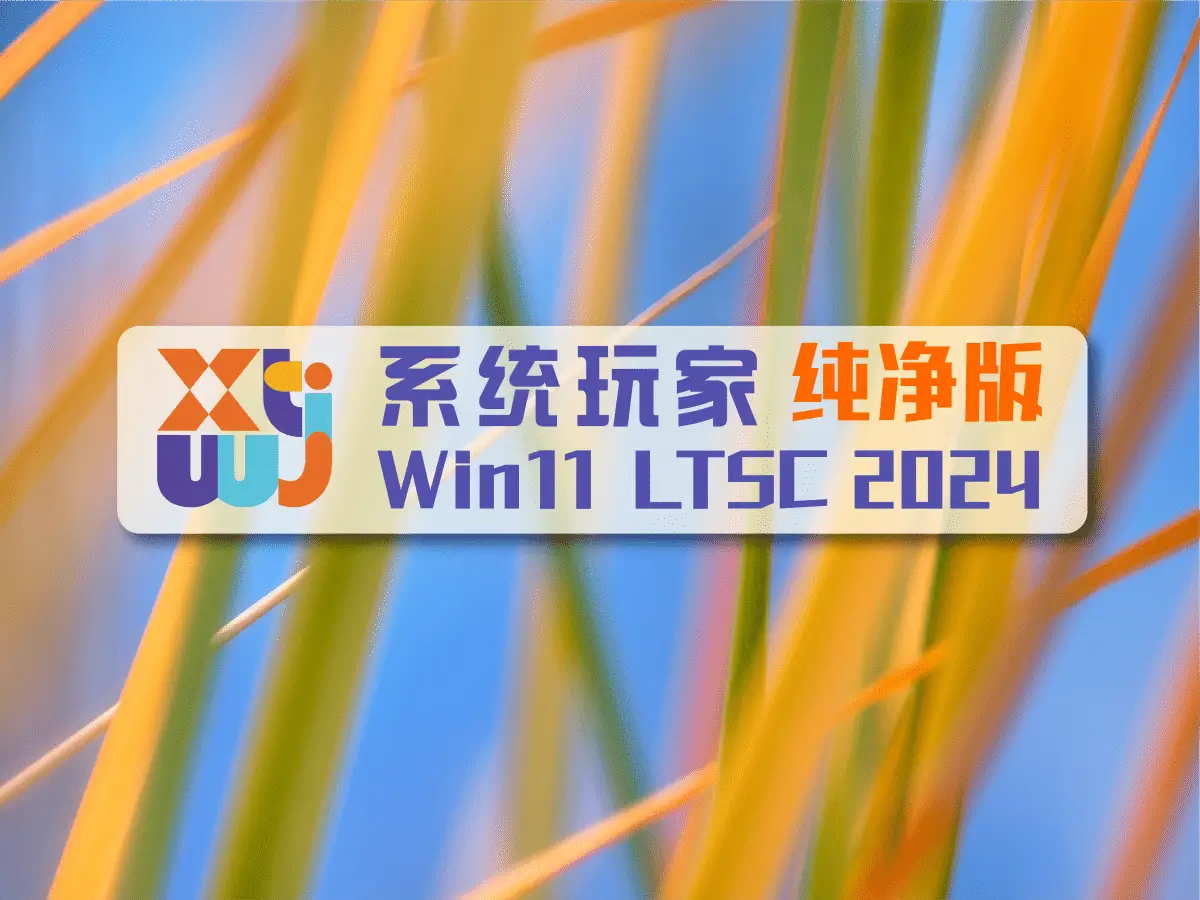 系统玩家 Win11 LTSC2024 26200.8246 纯净版-资源熊