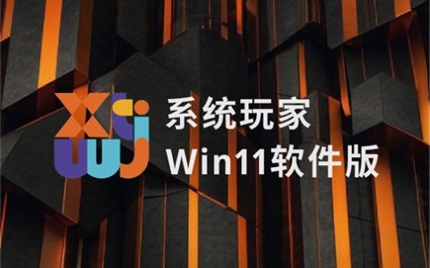 系统玩家 Win11 24H2 LTSC 26100.3476软件自选纯净版