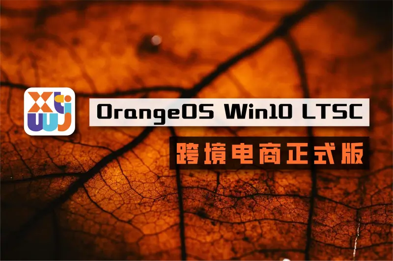系统玩家OrangeOS Win10 (LTSC IoT 2021) 跨境电商纯净版v1.0