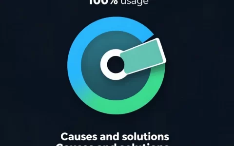 任务管理器显示磁盘100%占用：原因分析与解决方案