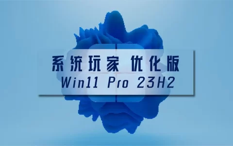 win1123h2封面图