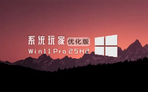 win1125h2封面图