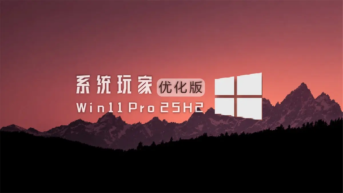 系统玩家Win11 25H2 26200.8457 优化版-资源熊