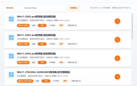 系统玩家系统下载器 v2.0