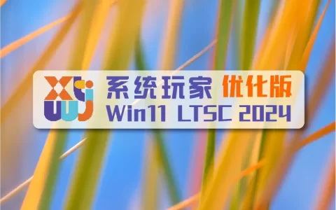 系统玩家 Win11 LTSC2024 26200.8655优化版(2026.6.15)