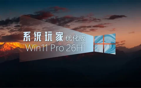 系统玩家 Win11 26H1 28000.2704优化版(2026.8.17)