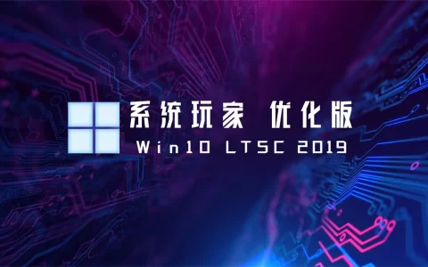 系统玩家 Win10 LTSC2019 17763.9020优化版(2026.8.15)